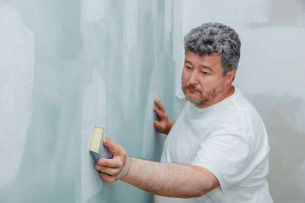 Best Residential Mold Inspection & Testing  in Laporte, CO