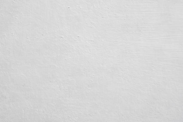 Professional Mold Removal in Laporte, CO