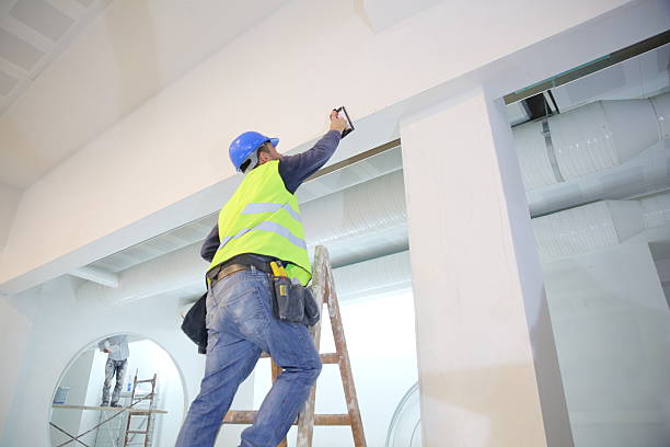 Best Asbestos and Lead Testing During Mold Inspection  in Laporte, CO