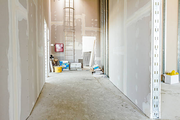 Best Post-Remediation Verification Testing  in Laporte, CO